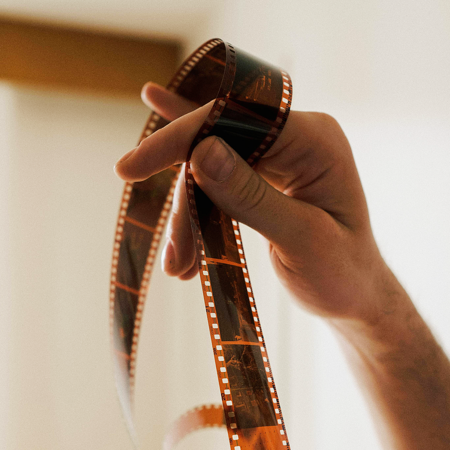 Darkroom Workshop: Developing Color Film